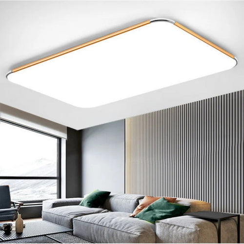 Modern Living Room Light 2024 Ultra Thin LED Ceiling Light Remote Control Dimming Restaurant Bedroom Balcony Panel Light - vue 4 sur 24