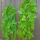 plantes artificielles suspendues décoratives pour intérieur et jardin