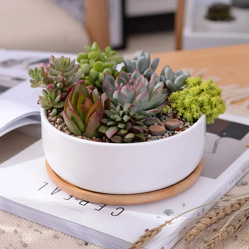 pot en céramique pour plantes succulentes avec plateau en bambou - vue 3 sur 7