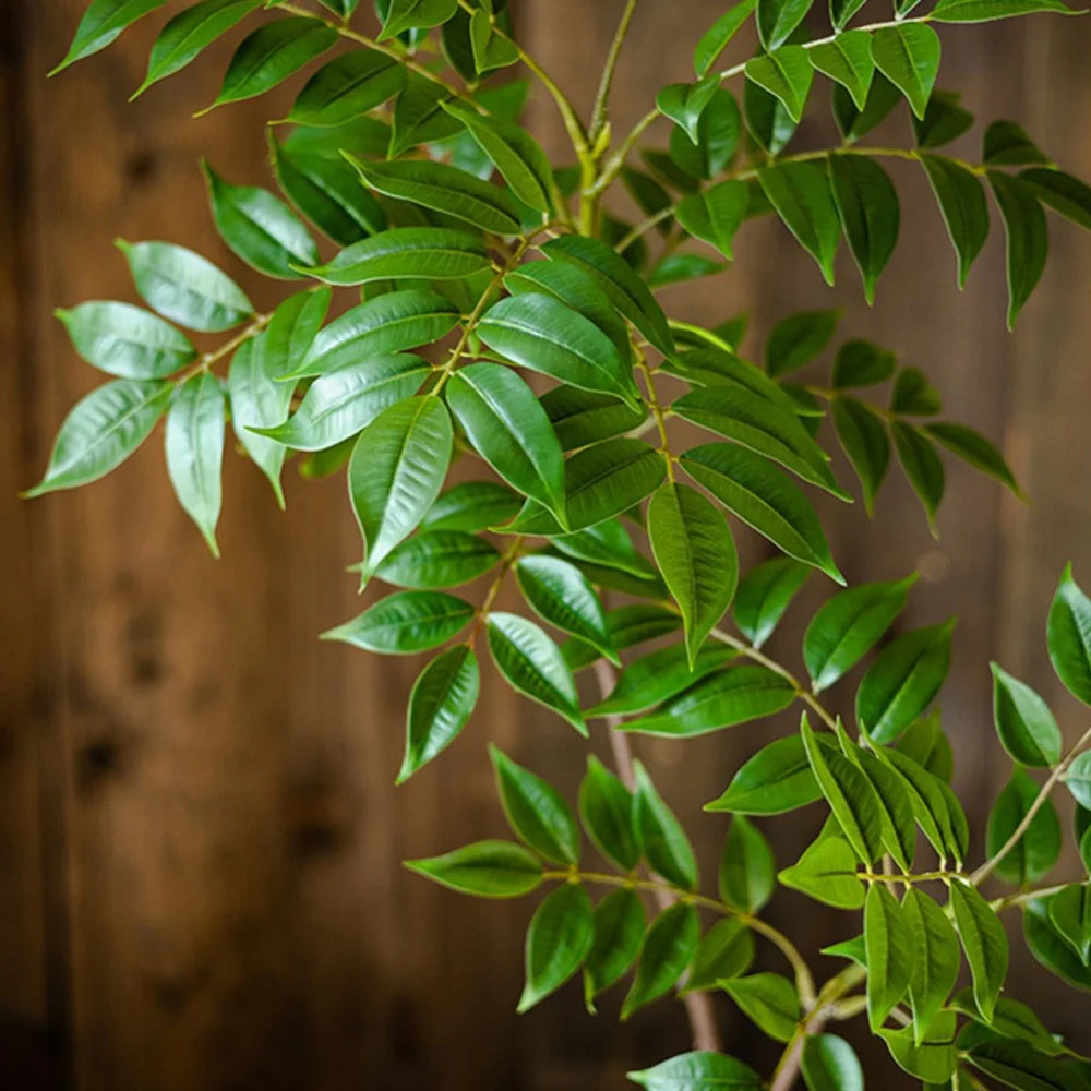 grande branche artificielle de ficus pour décoration intérieure et extérieure - vue 4 sur 9