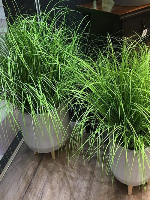 plantes artificielles herbe d'oignon pour mariage jardin décoration intérieure - vue 3 sur 7