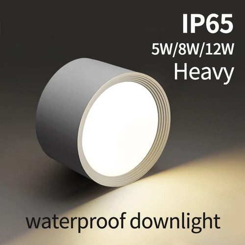 plafonnier étanche led haute luminosité pour extérieur - vue 2 sur 14