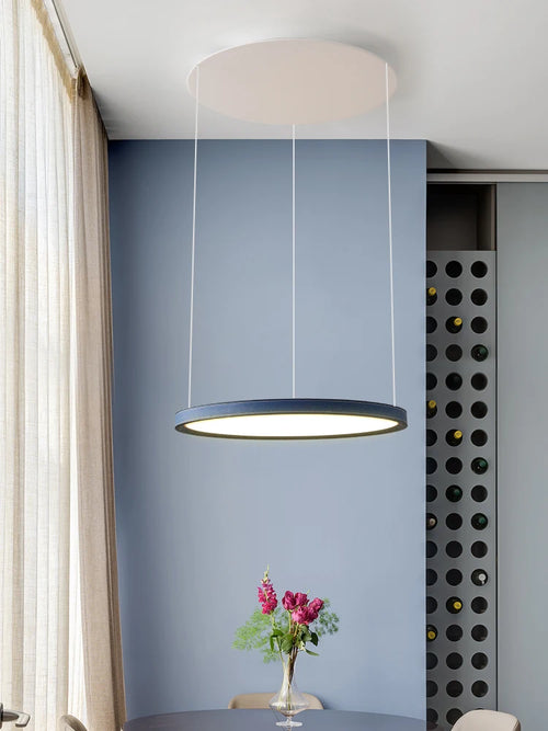 Nordic Modern Minimalist Restaurant Bar, Living Room, Bedroom, Ring Chandelier, Artistic Personality, Real Leather Chandelier - vue 2 sur 10