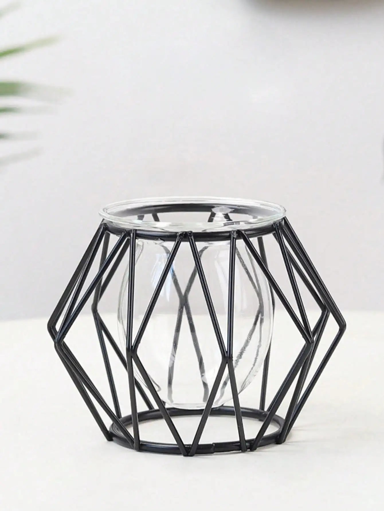 arrangement de fleurs transparent pour décoration intérieure avec plantes d'eau - vue 5 sur 6