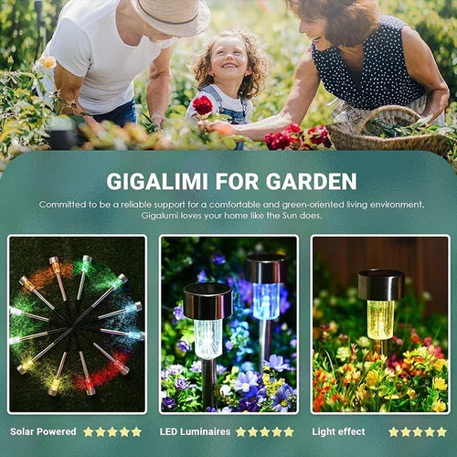 lampes solaires d'extérieur pour jardin et décoration de paysage - vue 6 sur 9