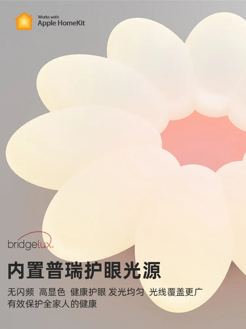 lustre créatif à pétales pour un éclairage chaleureux et apaisant - vue 7 sur 24