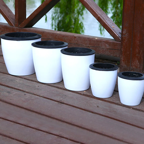 jardinière auto-arrosante moderne pour plantes succulentes et orchidées - vue 4 sur 12
