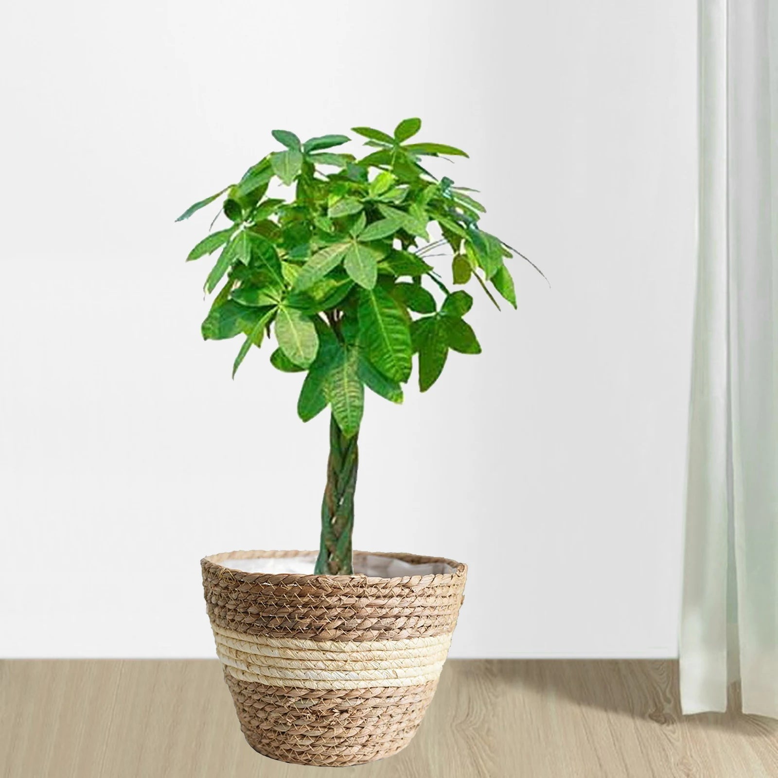 doublures en rotin pour paniers à plantes et décoration jardin - vue 4 sur 12