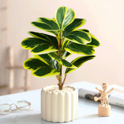 arbre artificiel de ficus à feuilles de cœur pour décoration intérieure et extérieure - vue 4 sur 9