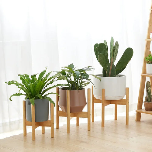 support en bois pour plantes et bonsaïs solide et durable - vue 3 sur 14
