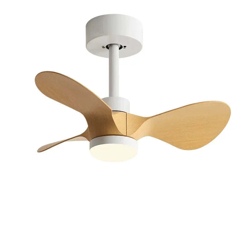 24Inch Mini Ceiling Fan Modern Simplicity Coffee Shop Creative Kid Fan Lights Aisle Balcony Children's Room Fan Lights 110V 220V - vue 6 sur 13