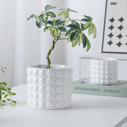 pots en céramique pour plantes succulentes style européen intérieur - vue 2 sur 7