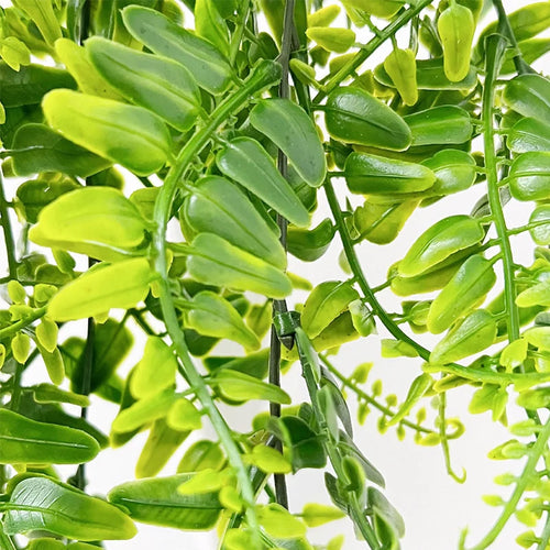 feuilles de fougère persane décoration plantes artificielles pour événements - vue 5 sur 5