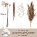 bouquet dherbe de pampa naturelle pour décoration et cadeaux