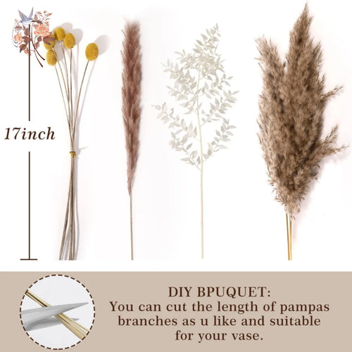 bouquet dherbe de pampa naturelle pour décoration et cadeaux - vue 4 sur 18