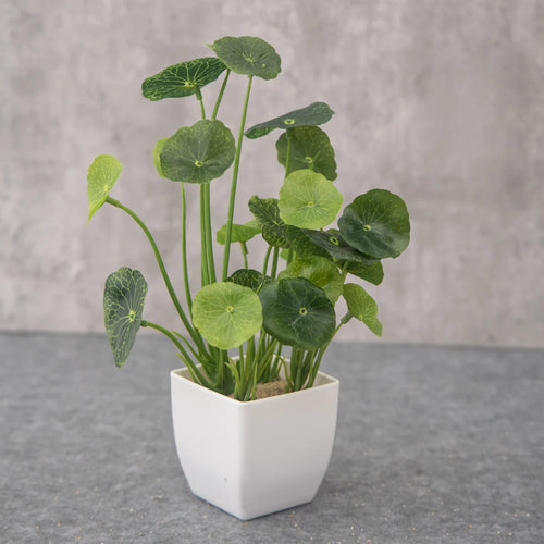 plante bonsaï artificielle en pot pour décoration intérieure - vue 15 sur 15