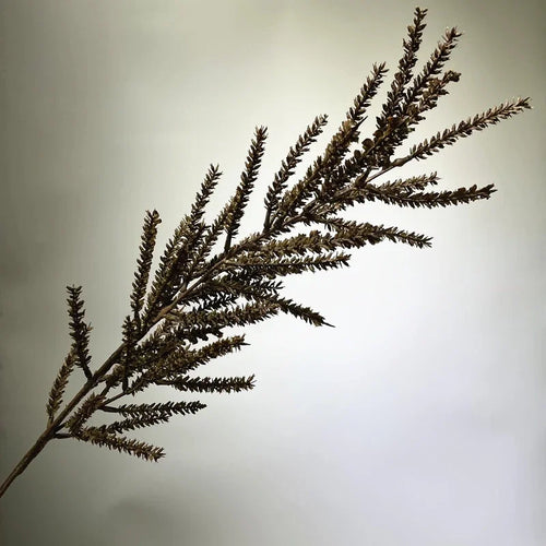 plante artificielle dherbe de blé décoration naturelle pour intérieur - vue 2 sur 13