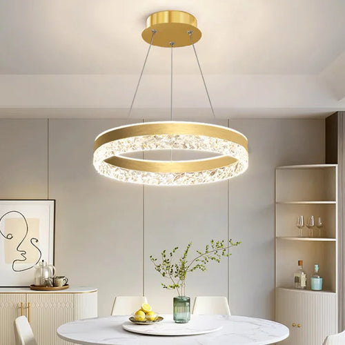 Lustre rond LED circulaire simple avec télécommande décorative - vue 2 sur 5