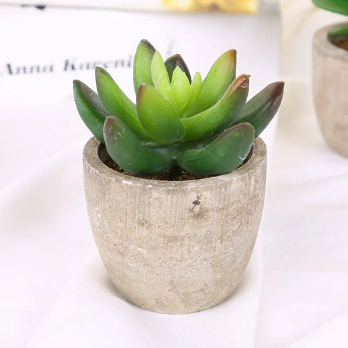plantes succulentes artificielles pour décoration intérieure moderne - vue 11 sur 13