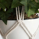 suspension en macramé pour plantes et décoration intérieure
