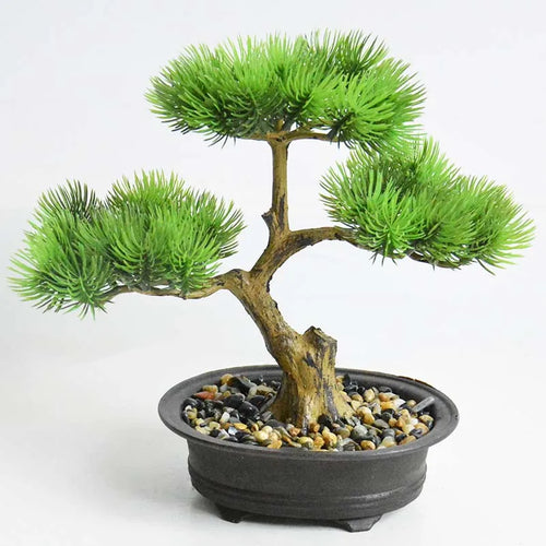 plante en pot de style chinois pour décoration intérieure - vue 2 sur 6