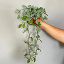 feuilles de pastèque en plastique pour décoration intérieure et extérieure