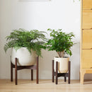 support en bois pour plantes et bonsaïs solide et durable