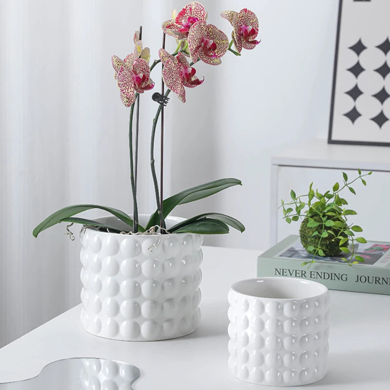 pots en céramique pour plantes succulentes style européen intérieur - vue 3 sur 7