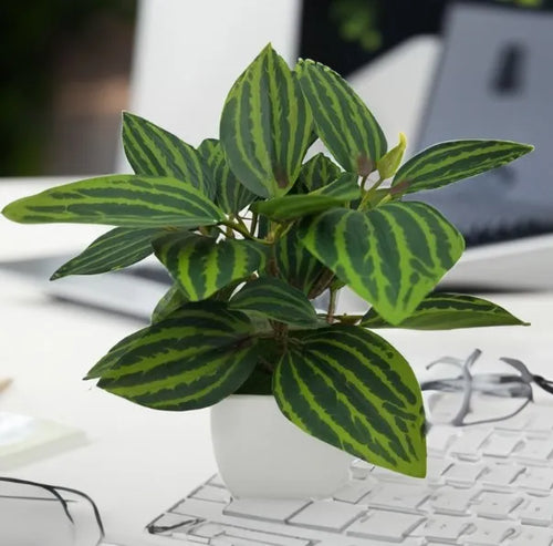 plantes artificielles bonsaï décorations pour maison et jardin - vue 2 sur 7