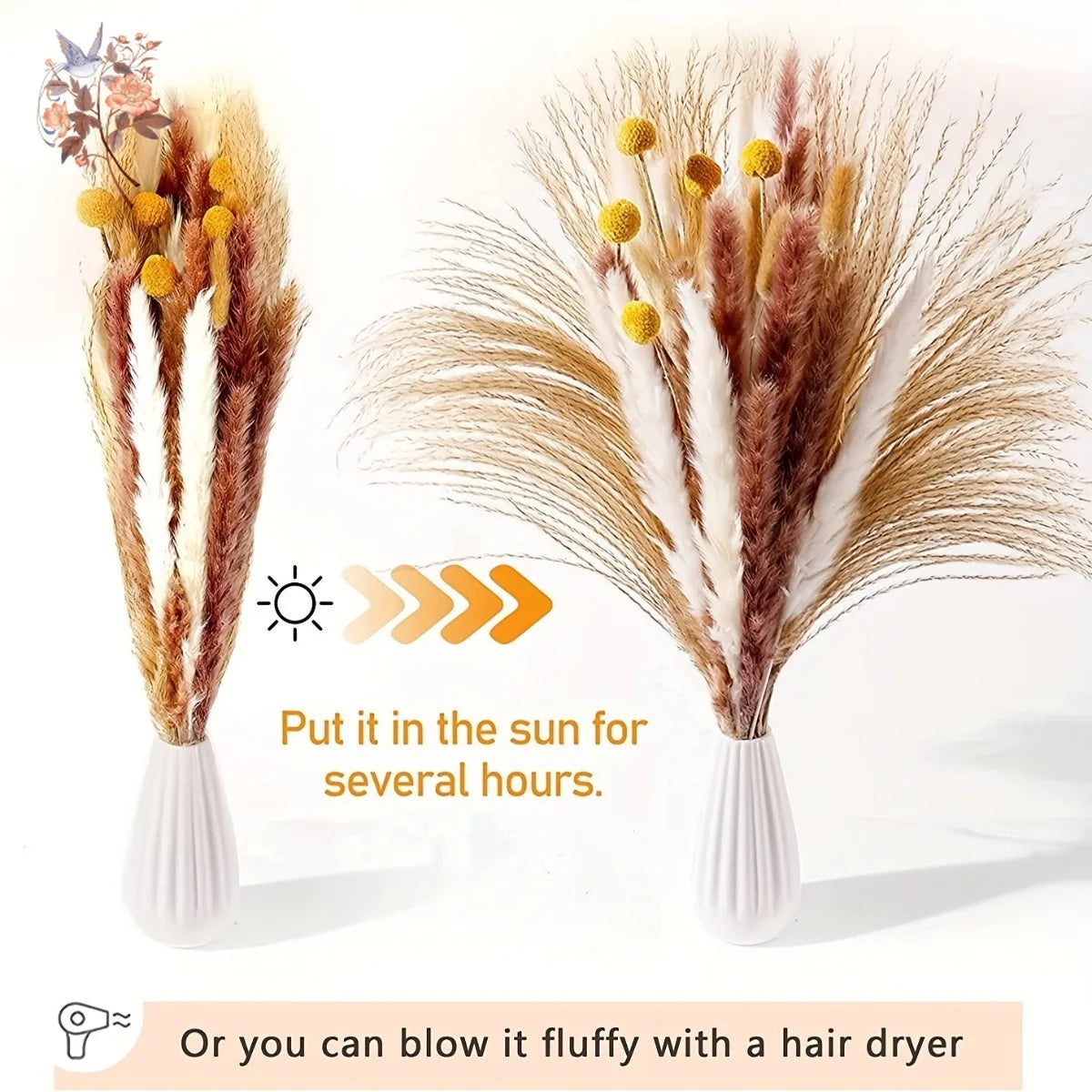 bouquet dherbe de pampa naturelle pour décoration et cadeaux - vue 5 sur 18