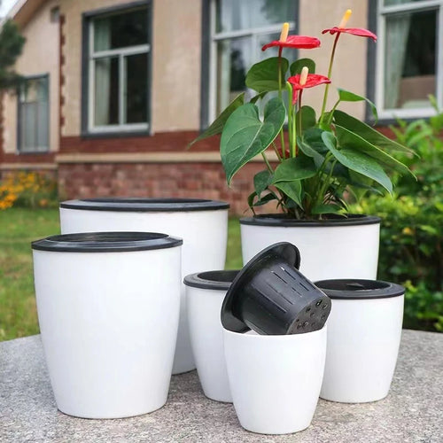 jardinière auto-arrosante moderne pour plantes succulentes et orchidées - vue 2 sur 12