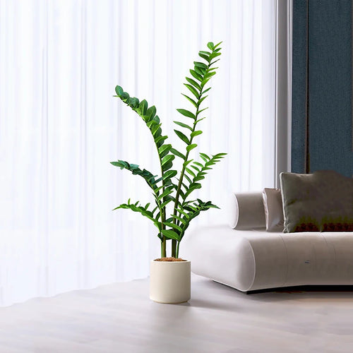 plantes artificielles ficus et zamioculcas pour décoration intérieure - vue 3 sur 14