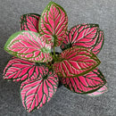 feuilles de phénix artificielles décoration verte en plastique