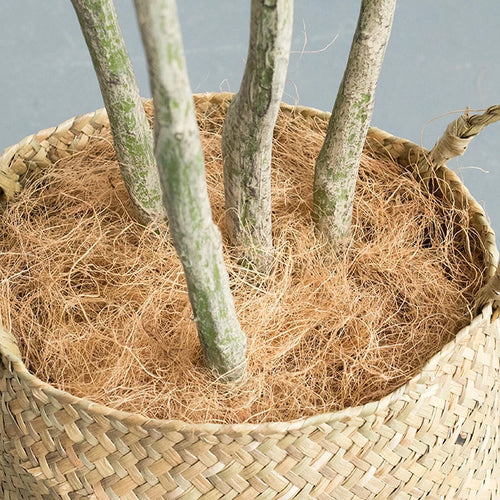 plantes artificielles dracaena pour décoration intérieure tropicale - vue 14 sur 20