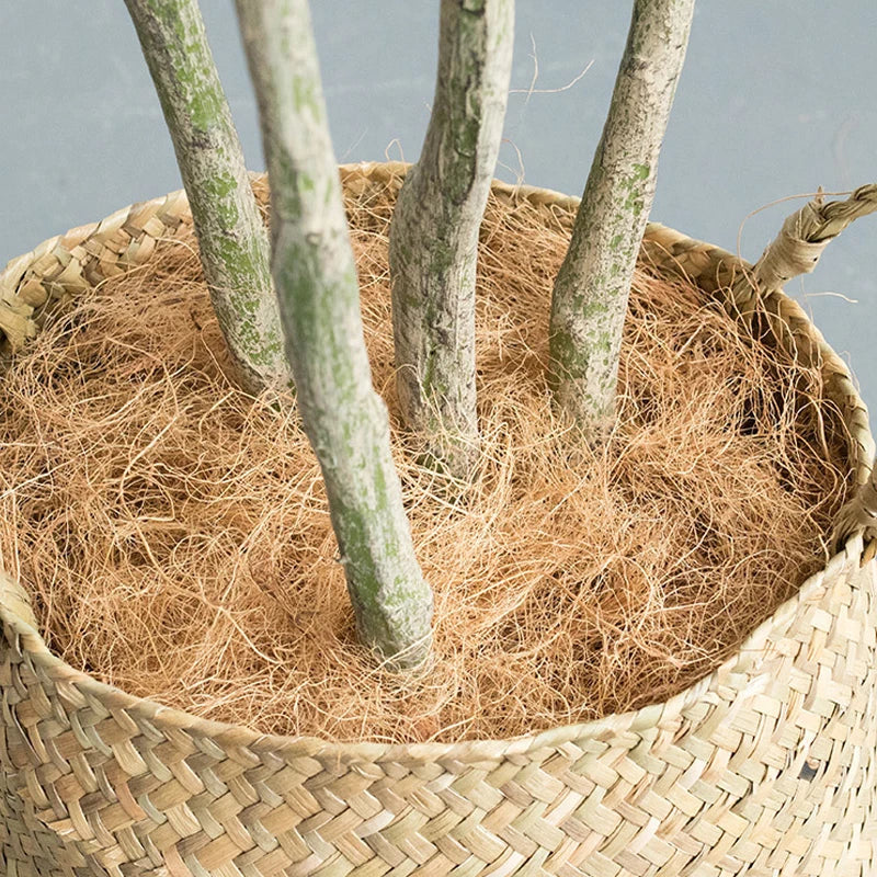 plantes artificielles dracaena pour décoration intérieure tropicale - vue 13 sur 20