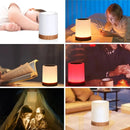 Touch Bedside Light, Bedroom Night Light, Dimmable Desk Light, Remote Control 13 Color Changing Light, Timed Shutdown, USB Charg