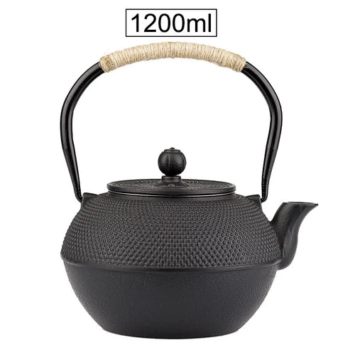 Théière japonaise en fonte avec infuseur inox intégré - vue 10 sur 9