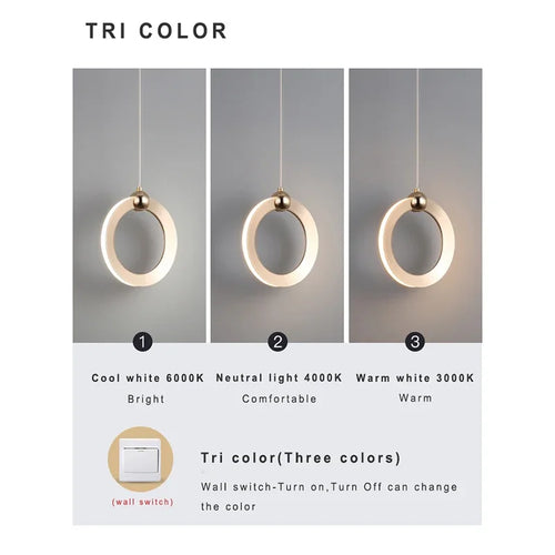 Lamp Modern LED Pendant Light Fixtures, Ring Pendant Lighting For Bedroom Bathroom Living Room, Small Hanging Pendant Light - vue 5 sur 10