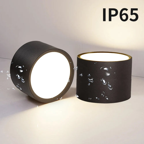plafonnier étanche led haute luminosité pour extérieur - vue 6 sur 14