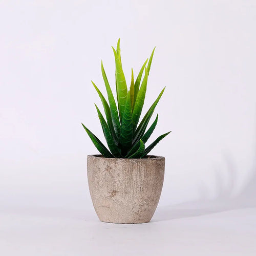 plantes succulentes artificielles pour décoration intérieure moderne - vue 14 sur 13
