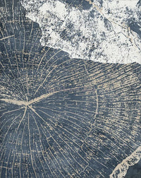 affiches abstraites sur les anneaux des arbres décoration artistique