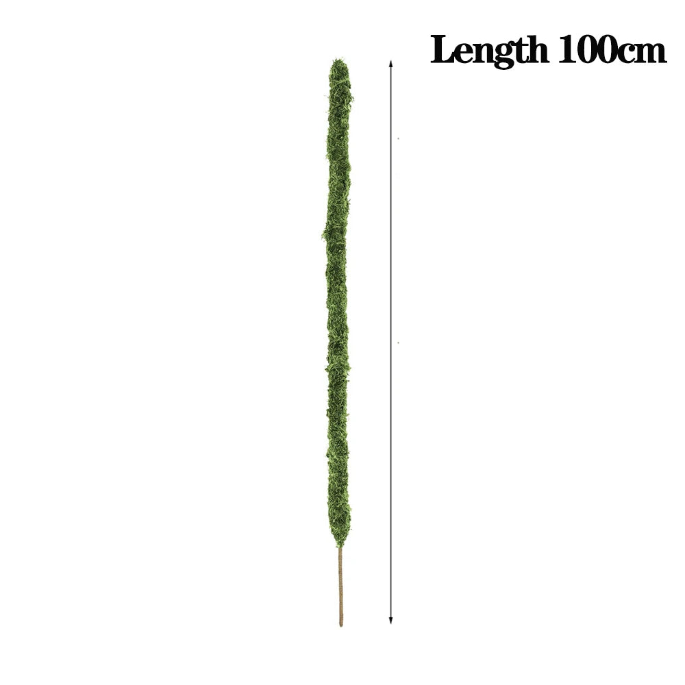 piquets pliables en mousse faits main pour plantes monstera en gros - vue 15 sur 15