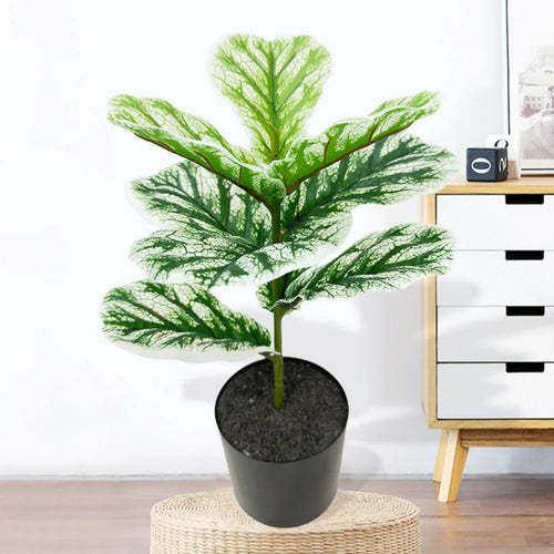 ficus lyrata plante artificielle décorative en pot pour intérieur - vue 10 sur 11