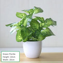 plantes artificielles bonsaï décoration intérieure pour votre espace