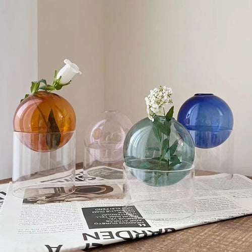 mini vase rond en verre pour décoration hydroponique écologique - vue 3 sur 18