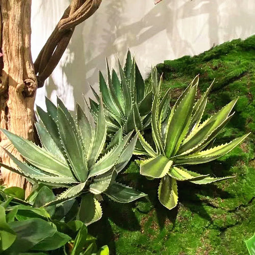 plantes succulentes artificielles aloe vera décoration intérieure et extérieure - vue 5 sur 8