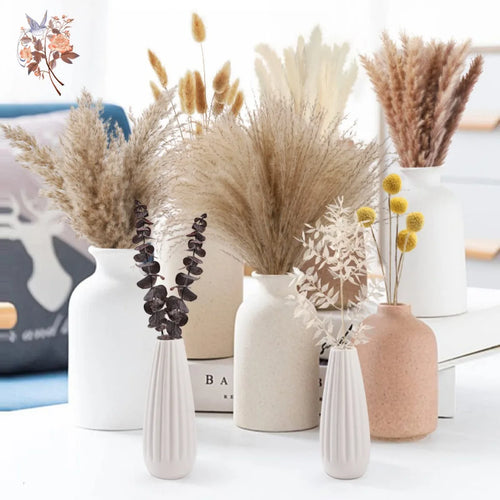 bouquet dherbe de pampa naturelle pour décoration et cadeaux - vue 3 sur 18