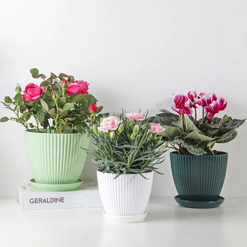 pot de fleurs rond pour succulentes avec plateau décoratif extérieur - vue 3 sur 10