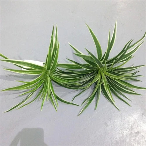 plantes artificielles chlorophytum décoratives pour intérieur sans pot - vue 7 sur 12