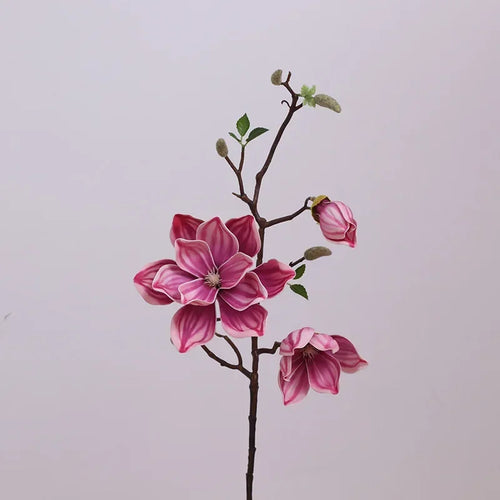 branches de magnolias artificielles pour décoration intérieure - vue 11 sur 14